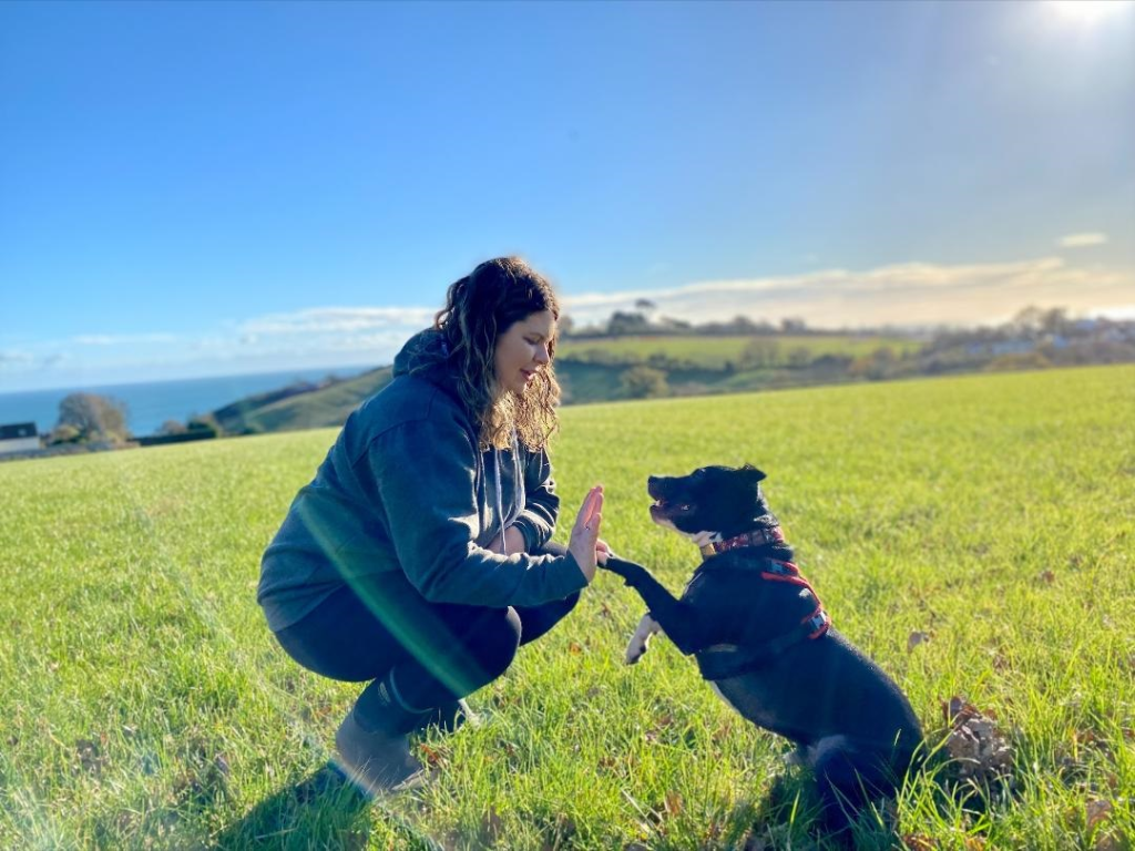 dog behaviourist devon sally lewis